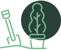 TREE & SHRUB PLANTING