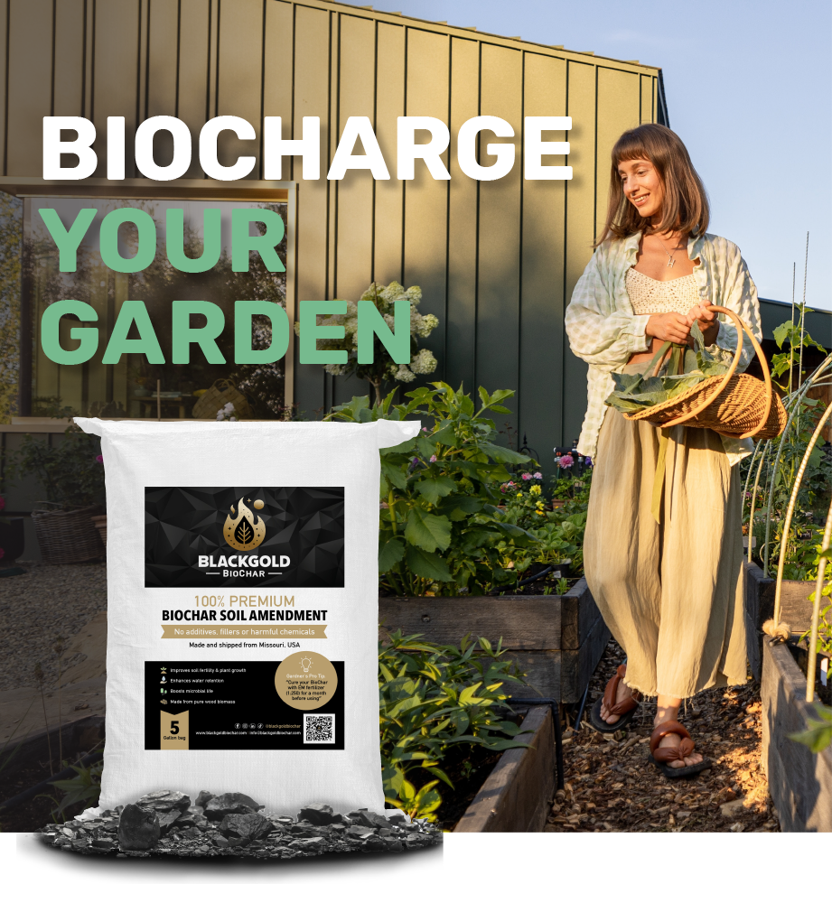 picture of basket of vegetables and a bag of black gold biochar