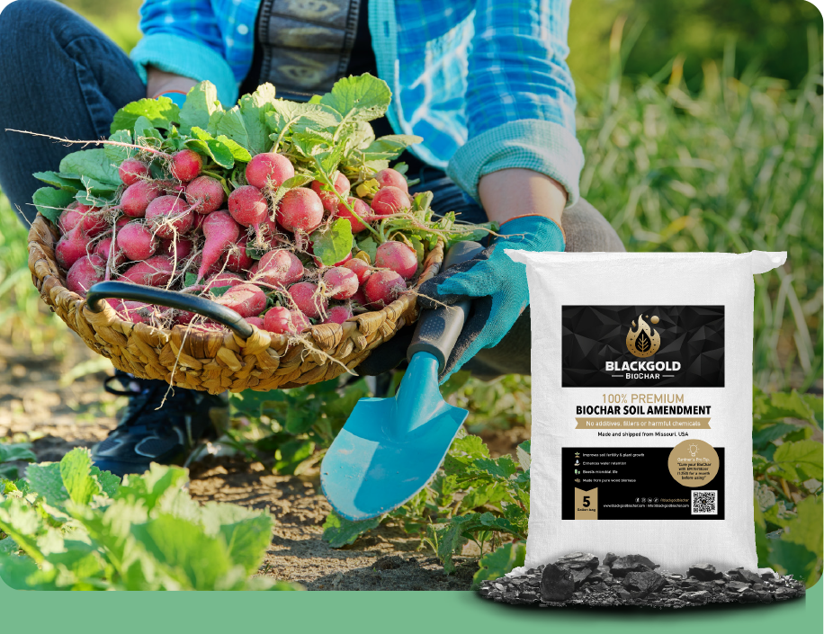 picture of basket of vegetables and a bag of black gold biochar